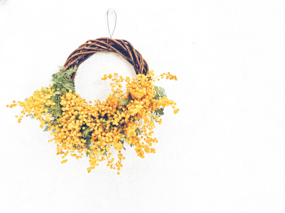 ミモザ　mimosa　ミモザリース　ミニリース　インテリアフラワー　natural　ギフト　プレゼント　お祝い　開店祝い 2枚目の画像