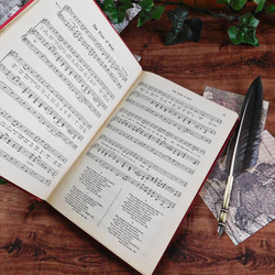 ☆゜+.19世紀　楽譜　英国の有名な曲の楽譜集　音楽　アンティークブック　ヴィンテージ本　洋書　古書　イギリス　レトロ　 9枚目の画像