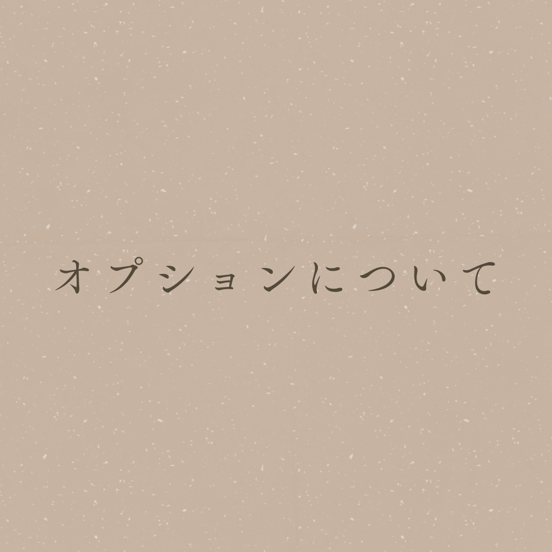 オプションについて　　　　　　　　　　　⚠︎このページは購入できません⚠︎