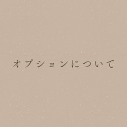 オプションについて　　　　　　　　　　　⚠︎このページは購入できません⚠︎ 1枚目の画像