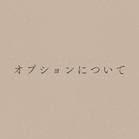 オプションについて　　　　　　　　　　　⚠︎このページは購入できません⚠︎ 1枚目の画像