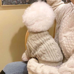 ペット犬 猫用 服　セーター　小型中型犬 6枚目の画像