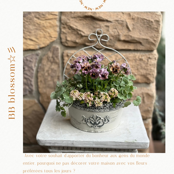 ◇1周年記念セール開催中◇季節の寄せ植え 花苗うえた キャンディー