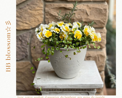 e96a8868ea48ecacf05ba3edb6e655