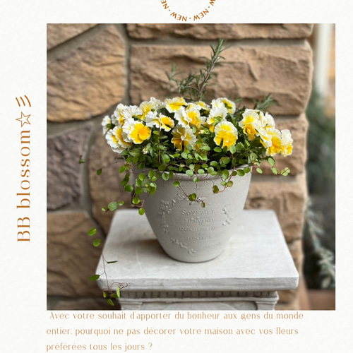 ◇1周年記念セール開催中◇季節の寄せ植え サトウ園芸 可愛い♪エッグ