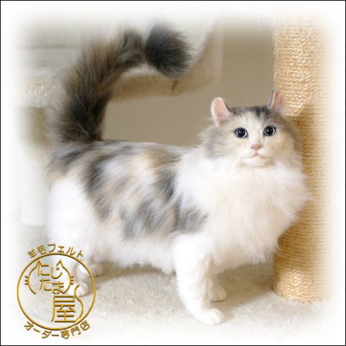 羊毛フェルト　猫　おっとりだけど遊び心満点のアビシニアンの子猫ちゃん 羊毛フェルト 猫 おっとりだけど遊び心満点のアビシニアンの子猫