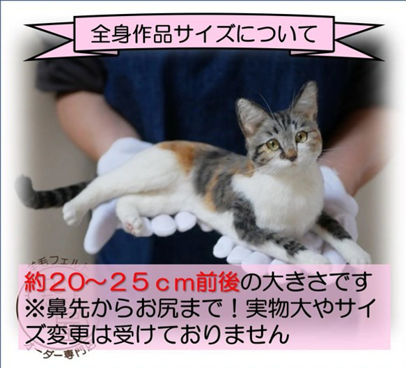 リアル羊毛フェルト「うちの子」オーダー 猫 犬 そっくり ﾍﾟｯﾄ ｽｺﾃｨｯｼｭ ﾉﾙｳｪｰｼﾞｬﾝ ｱﾋﾞｼﾆｱﾝ 18枚目の画像