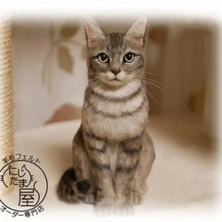 リアル羊毛フェルト「うちの子」オーダー 猫 犬 そっくり ﾍﾟｯﾄ ｽｺﾃｨｯｼｭ ﾉﾙｳｪｰｼﾞｬﾝ ｱﾋﾞｼﾆｱﾝ 14枚目の画像