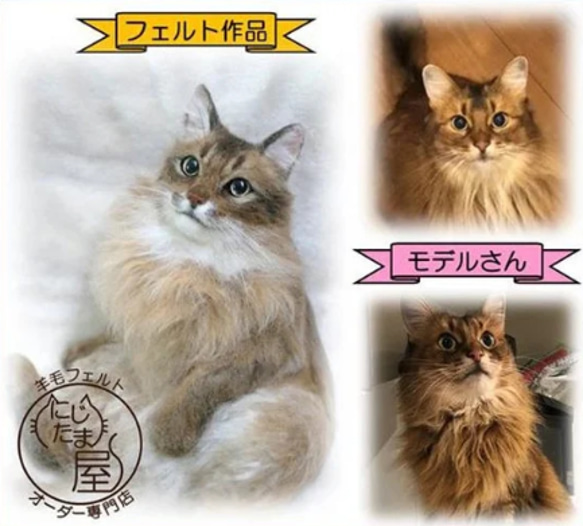 リアル羊毛フェルト「うちの子」オーダー 猫 犬 そっくり ﾍﾟｯﾄ ｽｺﾃｨｯｼｭ ﾉﾙｳｪｰｼﾞｬﾝ ｱﾋﾞｼﾆｱﾝ 7枚目の画像