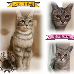 リアル羊毛フェルト「うちの子」オーダー 猫 犬 そっくり ﾍﾟｯﾄ ｽｺﾃｨｯｼｭ ﾉﾙｳｪｰｼﾞｬﾝ ｱﾋﾞｼﾆｱﾝ 15枚目の画像