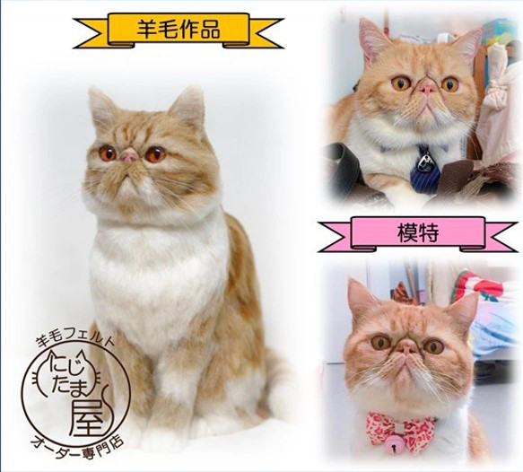 リアル羊毛フェルト「うちの子」オーダー 猫 犬 そっくり ﾍﾟｯﾄ ｽｺﾃｨｯｼｭ ﾉﾙｳｪｰｼﾞｬﾝ ｱﾋﾞｼﾆｱﾝ 11枚目の画像