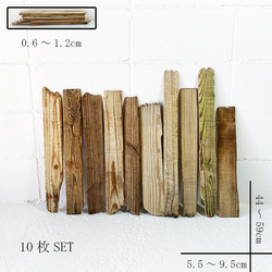 流木 板流木31cm～　itm423 1枚目の画像