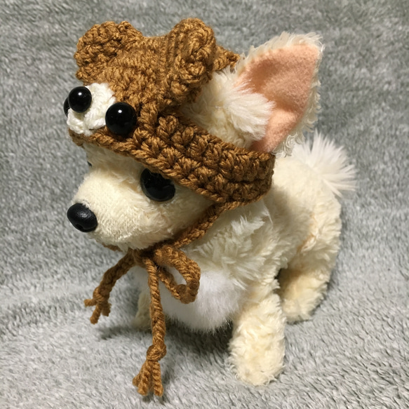 超小型犬用帽子・チワワ用❤️くまさんの帽子 2枚目の画像