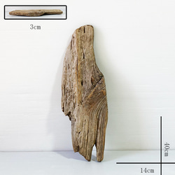 流木 板流木31cm～　itm432 1枚目の画像