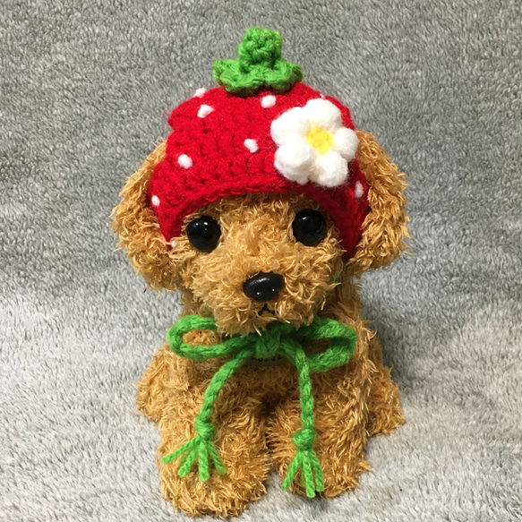 苺の帽子❤️小型犬用帽子・プードル用 ペット服・アクセサリー その