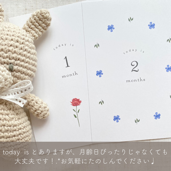 【送料無料】(flower D. マンスリーカード　月齢カード　花　L判可能 7枚目の画像