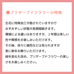 プリザーブドグリーンのかごバッグアレンジ～ホワイト&グリーン～ プリザーブドフラワー 開店祝い お祝い 送別 母の日 9枚目の画像