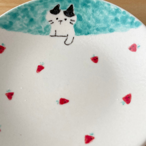 苺・ハチワレ猫/三毛猫/黒猫　豆皿「テーブルでコロコロ」 Creema限定 9枚目の画像