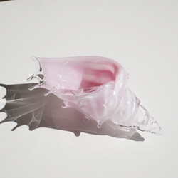 【新色】櫻桃色貝殼・貝殼玻璃容器 第6張的照片