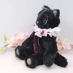 《送料無料》黒色の子猫・青目　レースの襟飾り 8枚目の画像