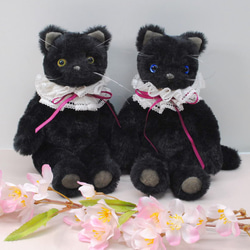 《送料無料》黒色の子猫・青目　レースの襟飾り 10枚目の画像