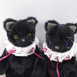 《送料無料》黒色の子猫・青目　レースの襟飾り 9枚目の画像
