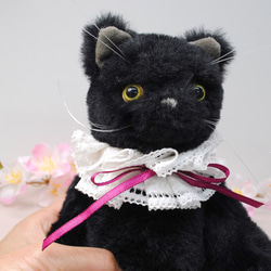 《送料無料》黒色の子猫・みどり目　レースの襟飾り22cm 6枚目の画像