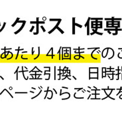 【クリックポスト便/1～4個専用】愛媛県産ドライフルーツ「ひめこい」伊予柑ピール　単品80g【お茶請け・おつまみ】 2枚目の画像