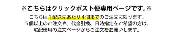 【クリックポスト便/1～4個専用】愛媛県産ドライフルーツ「ひめこい」伊予柑ピール　単品80g【お茶請け・おつまみ】 2枚目の画像