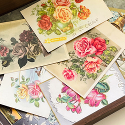 古董明信片花套裝 8 朵玫瑰、鈴蘭、仙客來、白色三葉草 | 法國 第2張的照片