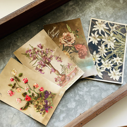 古董明信片花套裝 8 朵玫瑰、三色堇（中提琴）、紫羅蘭、康乃馨 | 法國 第3張的照片