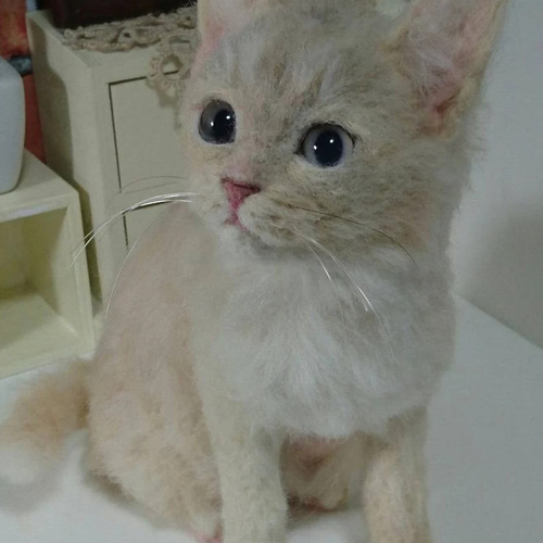 羊毛フェルトオーダー専用ページ オーダーメイド専門 羊毛フェルト うちの子 受注生産 犬 猫 ペットロス