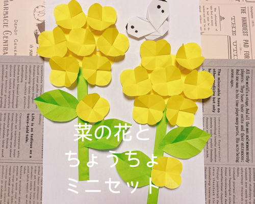 菜の花とちょうちょ 折り紙 ミニセット 保育園 デイ なのはな 壁面