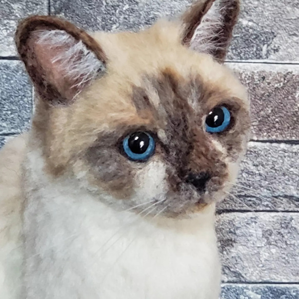 羊毛フェルトオーダーメイド、受注制作、羊毛フェルト犬、ペットロス 