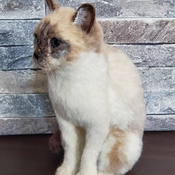 羊毛フェルトオーダーメイド、受注制作、羊毛フェルト犬、ペットロス 