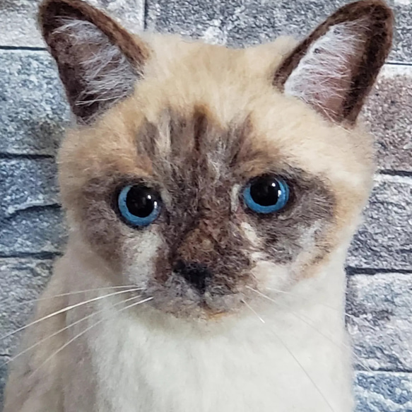 羊毛フェルトオーダーメイド、受注制作、羊毛フェルト犬、ペットロス 