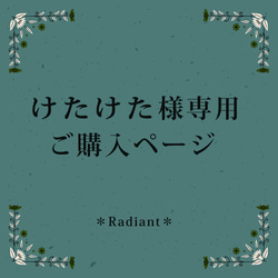 『けたけた様』専用ご購入ページ 1枚目の画像