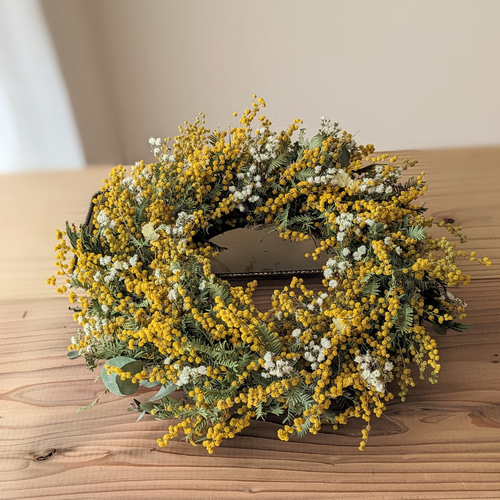 感謝SALE!もりもりミモザのリース　26㎝　銀葉アカシア　花かんざし　春 感謝SALE!もりもりミモザのリース26㎝銀葉アカシア花かんざし春