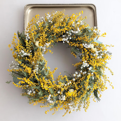感謝SALE!もりもりミモザのリース　26㎝　銀葉アカシア　花かんざし　春 感謝SALE!もりもりミモザのリース 26㎝ 銀葉アカシア 花かんざし 春