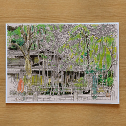 A4サイズ「 京都　哲学の道　新緑」　京の水彩画工房 1枚目の画像