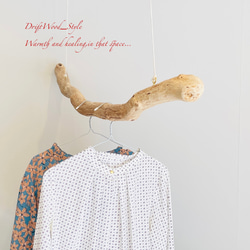 流木インテリア 無骨で太い大型流木のハンガーラック 北欧 衣装掛 ハンギング 吊り下げ ハンガーポール N8 3枚目の画像