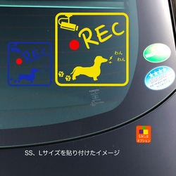 ドライブレコーダー ダックス フント スムース05 ステッカー 5枚目の画像