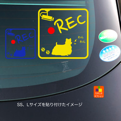 ドライブレコーダー テリア 05 ステッカー 5枚目の画像