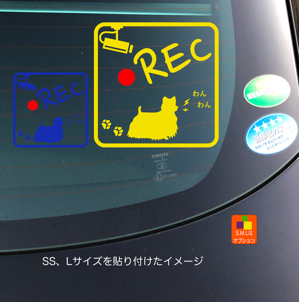 ドライブレコーダー テリア 05 ステッカー 5枚目の画像