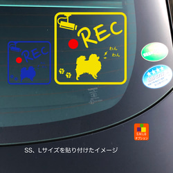 ドライブレコーダー ポメラニアン  05 ステッカー 5枚目の画像