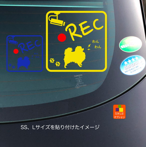 ドライブレコーダー ポメラニアン  05 ステッカー 5枚目の画像