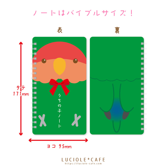 【うちの子ノート】コザクラインコ 6枚目の画像