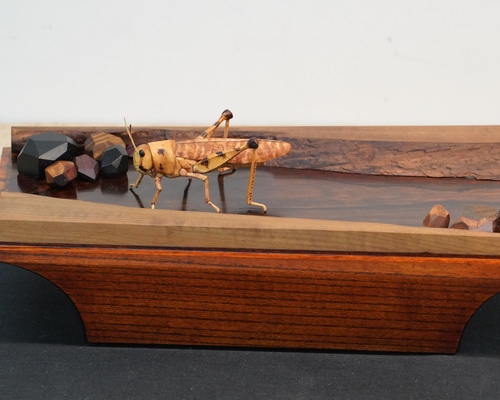 07ff3470777d885a6e415aab0c8b7f