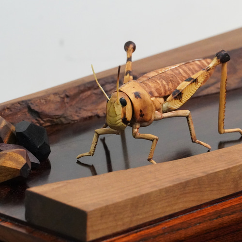 河原に佇む」 木彫 木彫刻 木彫作品 木彫り 寄木造り 昆虫 バッタ 彫刻