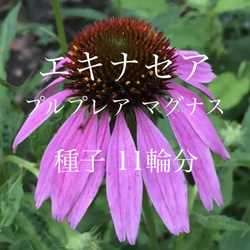 2749659e33dfd7e609be70f486f391